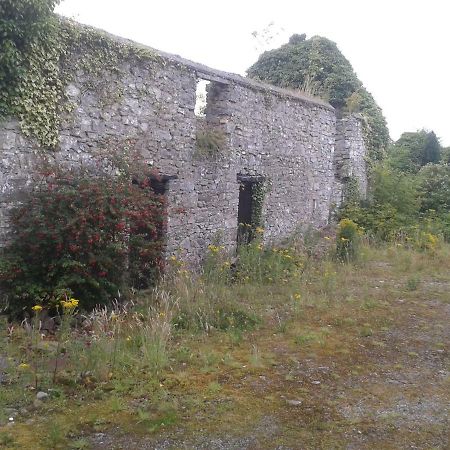 The Townhouse Apartment Claremorris Luaran gambar