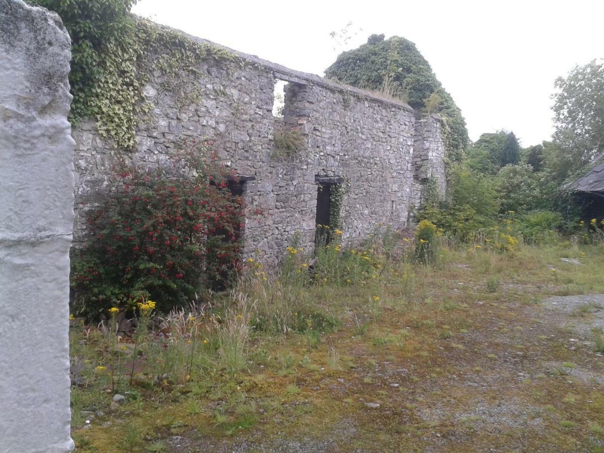 The Townhouse Apartment Claremorris Luaran gambar